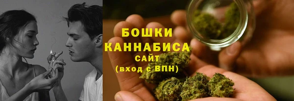 соль ск Арсеньев