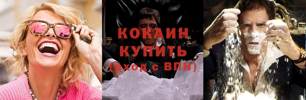 соль ск Арсеньев